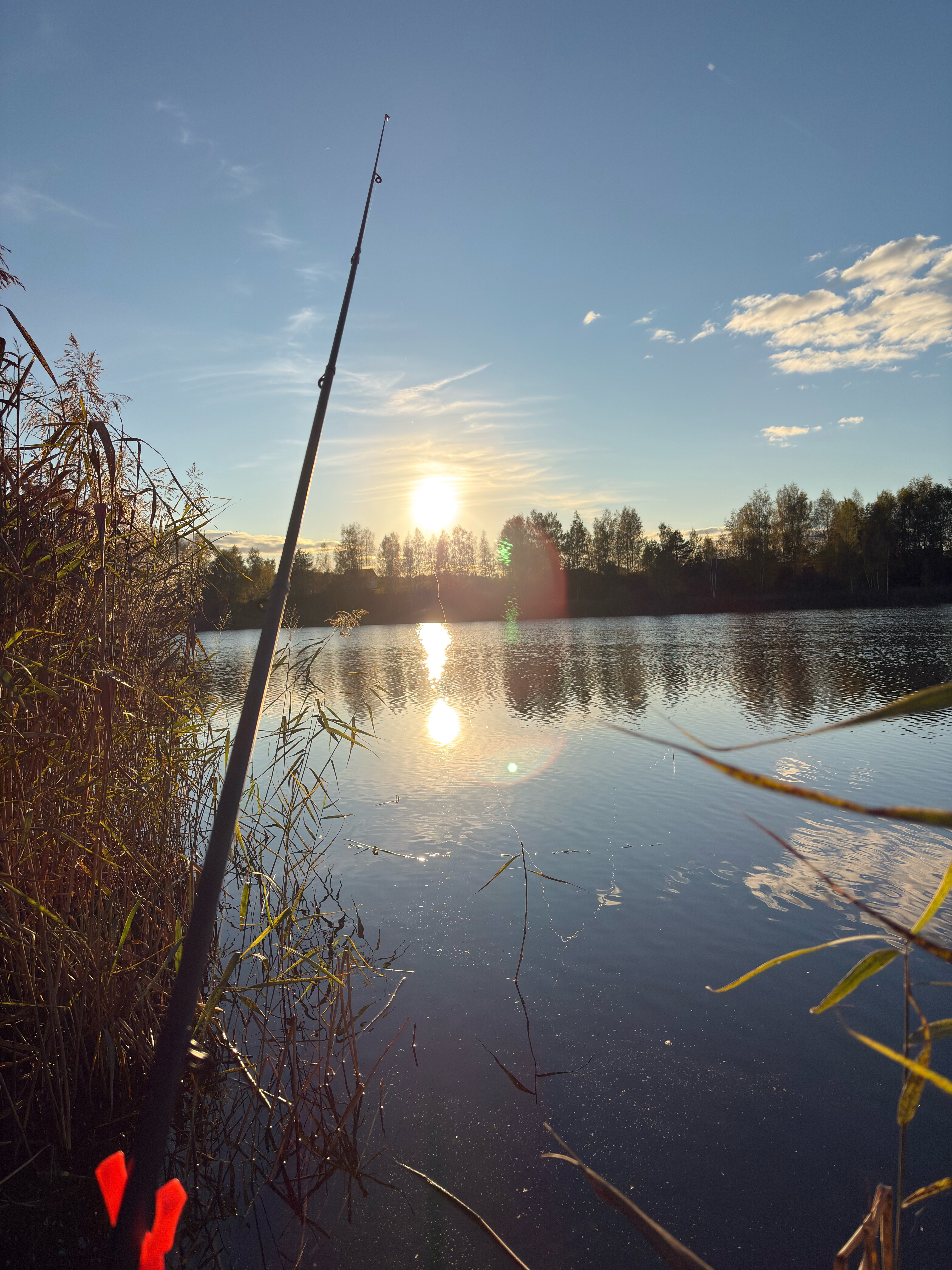 Фото Ладонь ветра