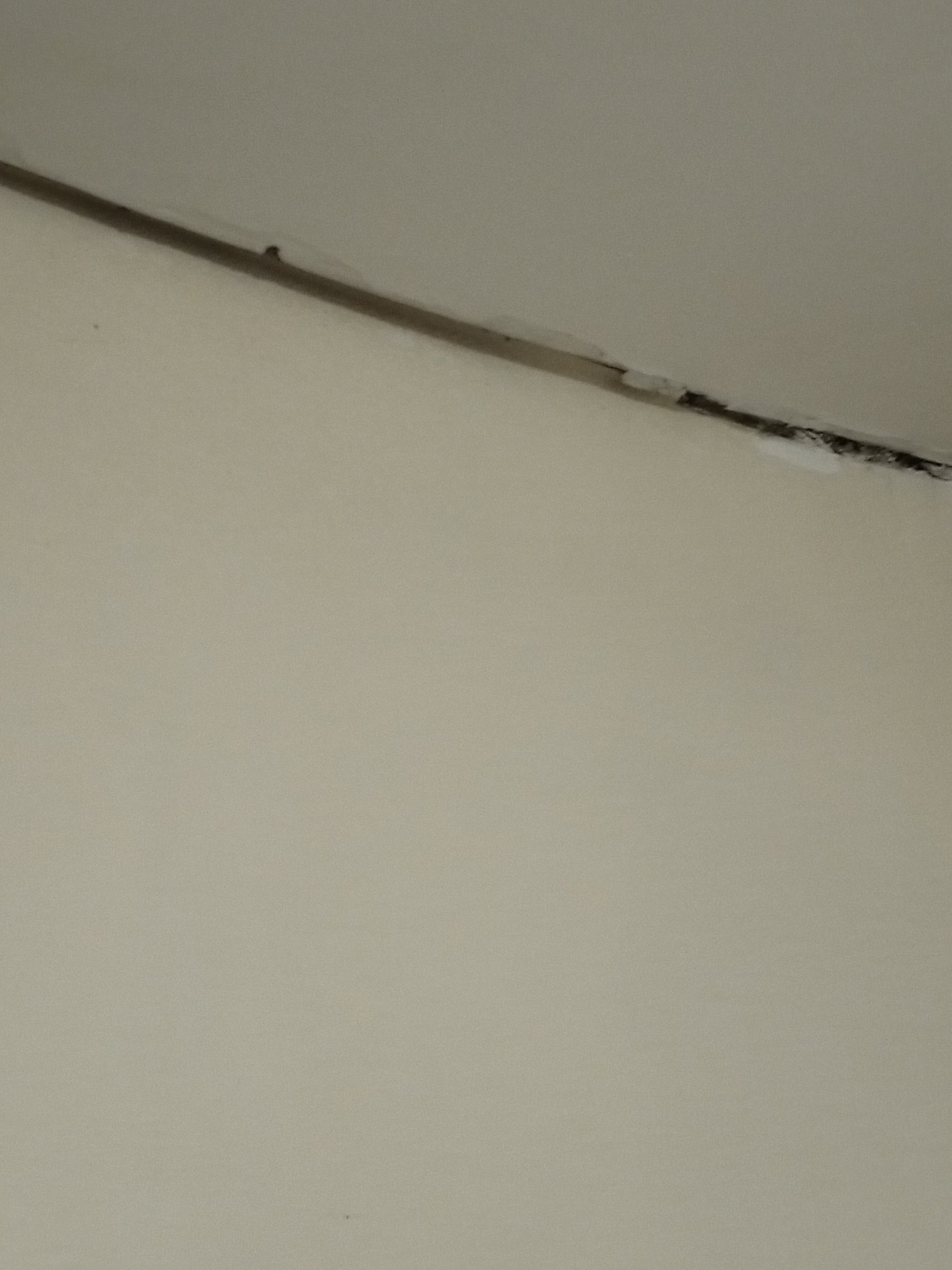 Фото Парк Отель