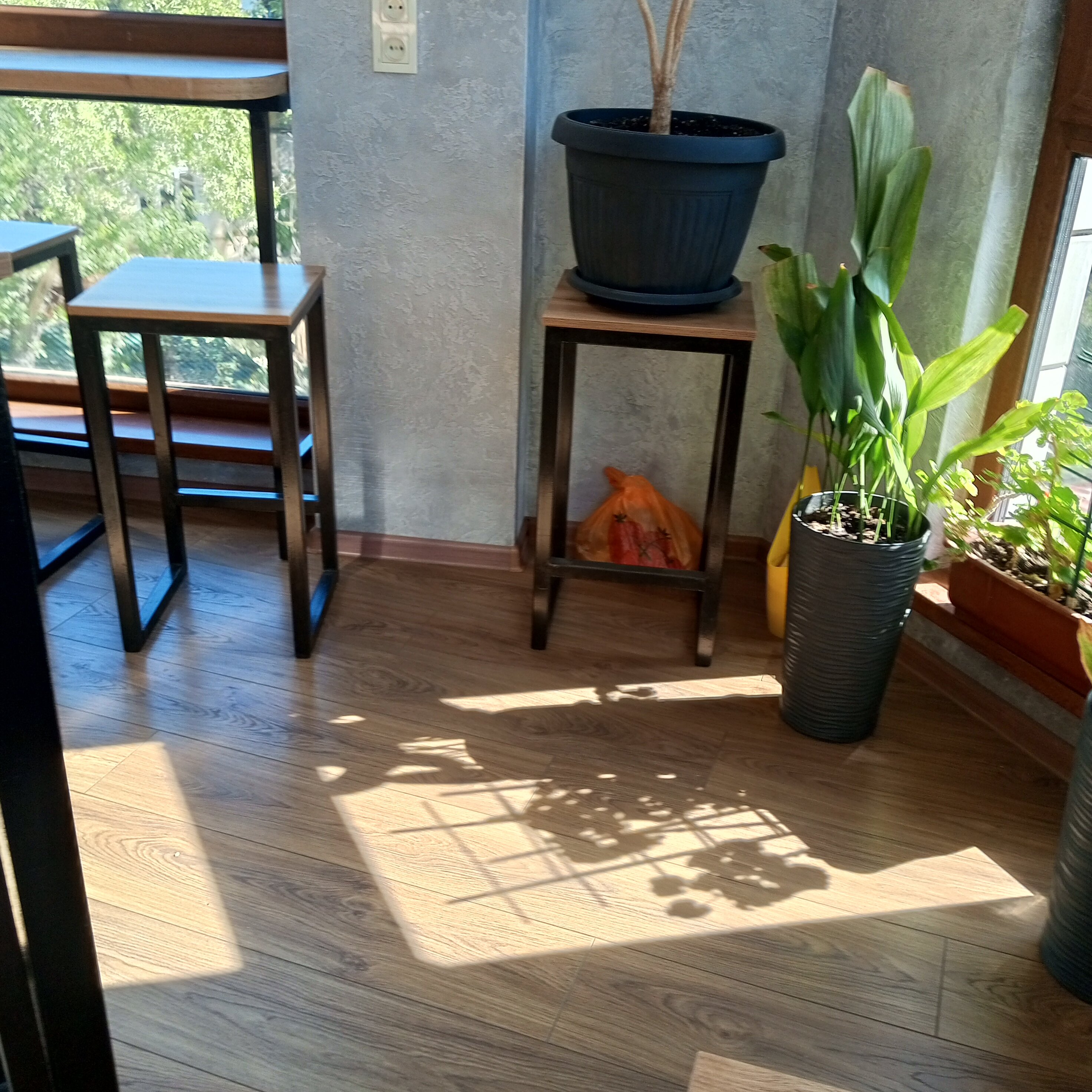 Фото Боткинский