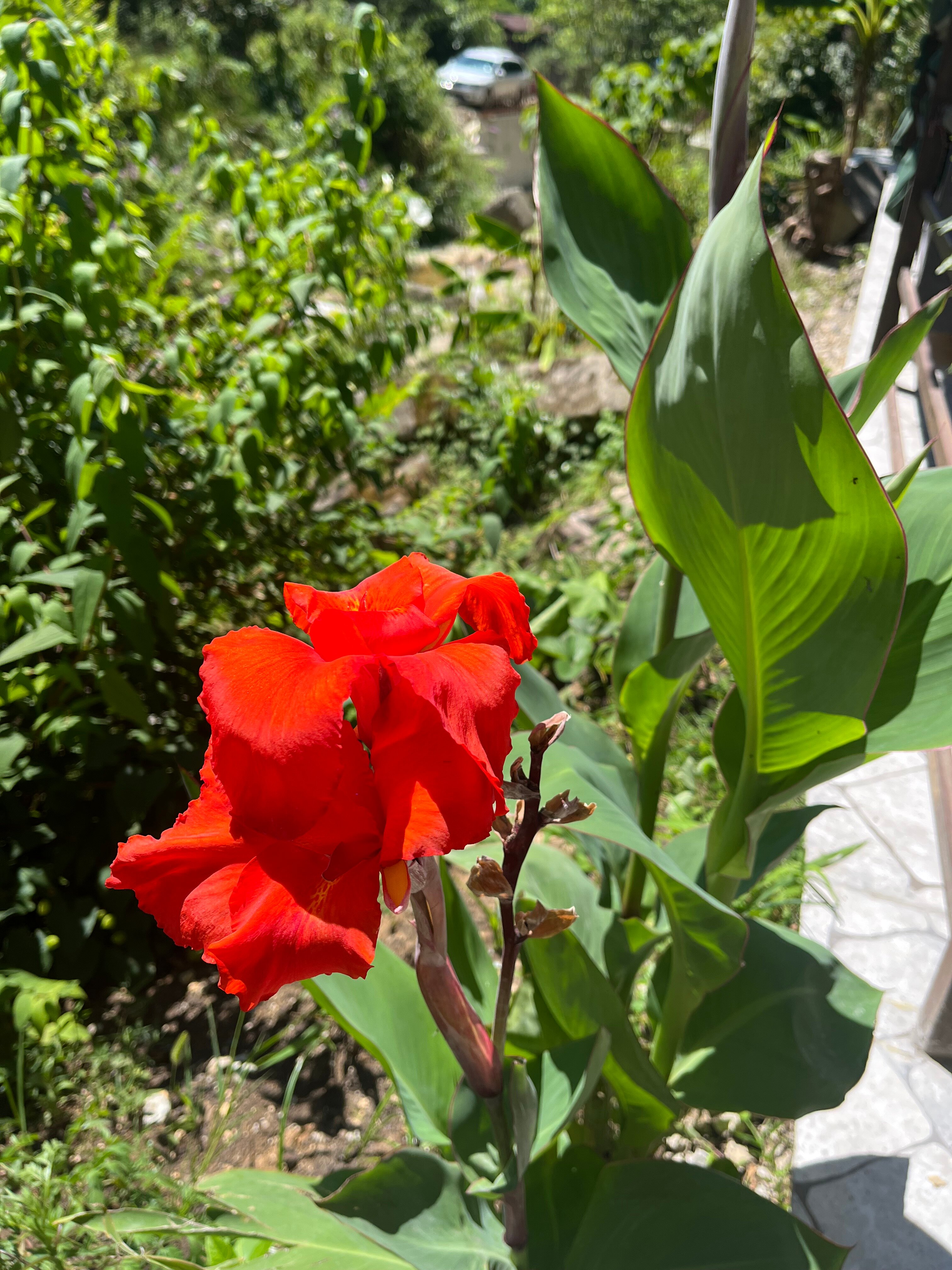 Фото Мини-отель Пантера