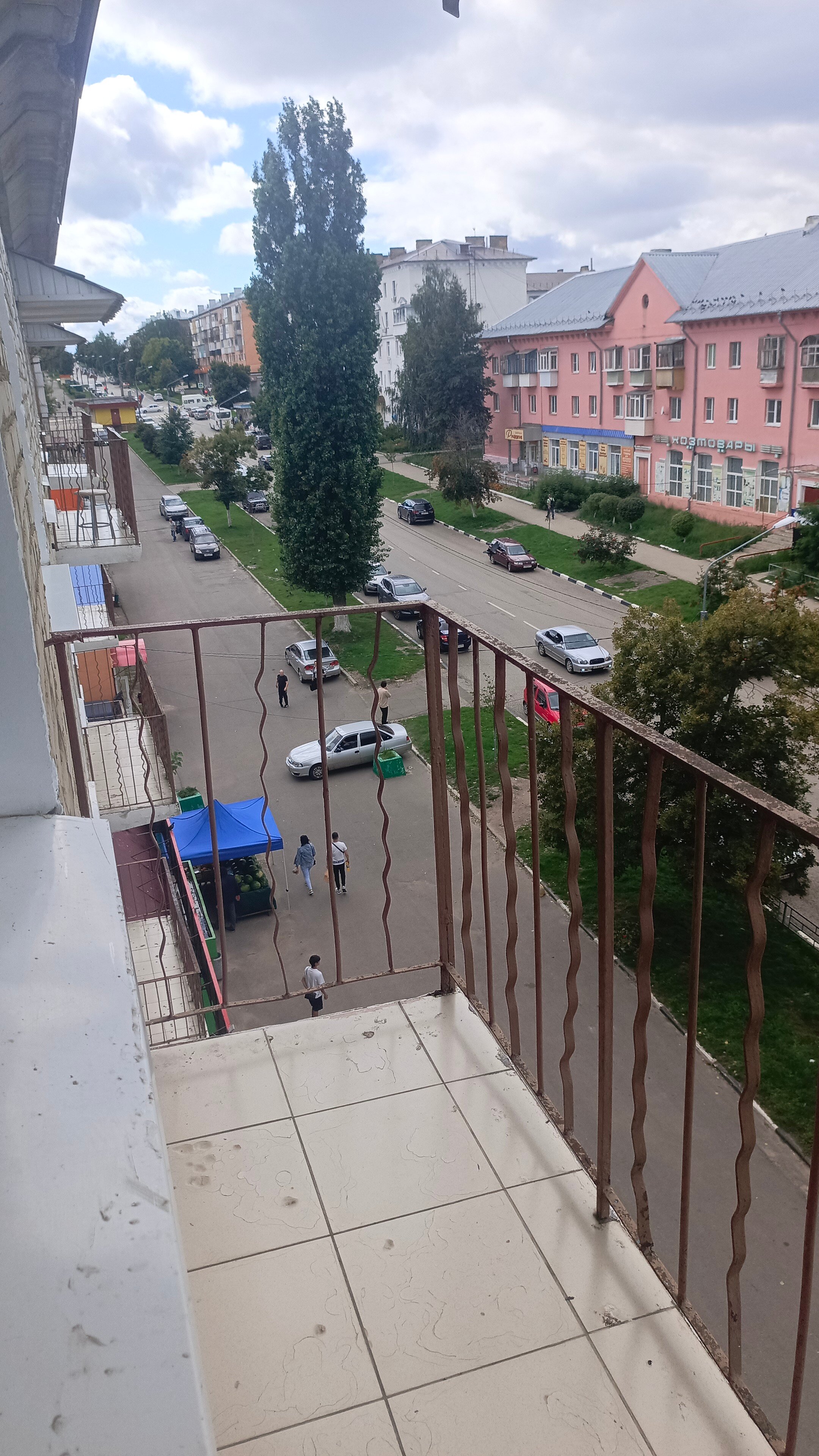 Фото Красивая Меча