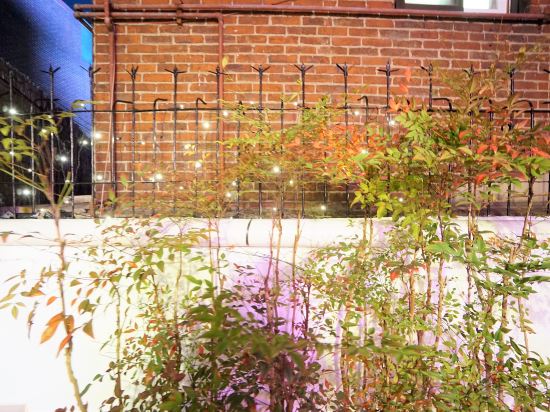 Фото Seoul Cube Ewha - Hostel