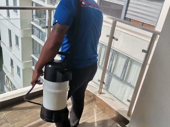 Фото Amberside Country Garden Danga Bay