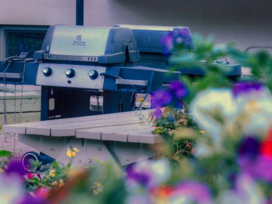 Фото Tunnel Mountain Resort