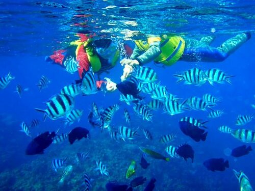 Внешний вид отеля Okinawa Kariyushi Beach Resort Ocean SPA в Онне, фото 4