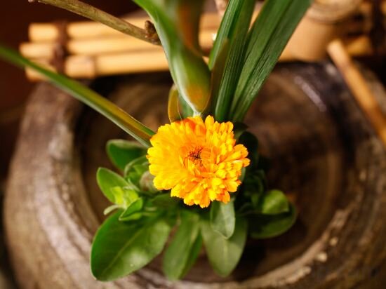 Фото Arima Onsen Kotori