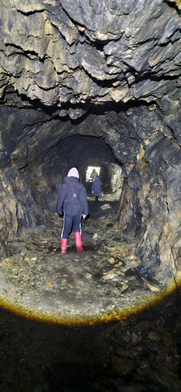 Фото Пилигрим