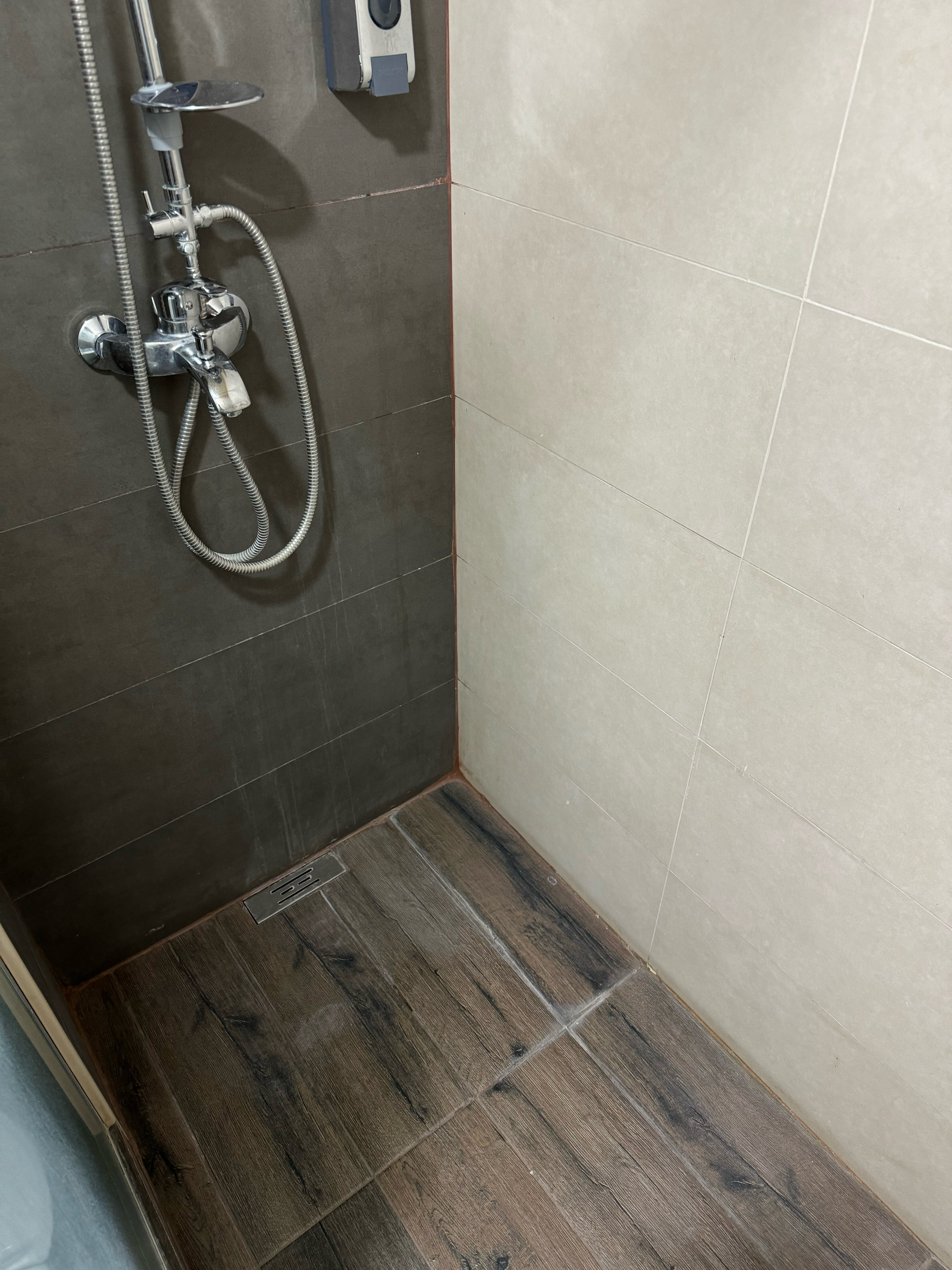 Фото The Friends