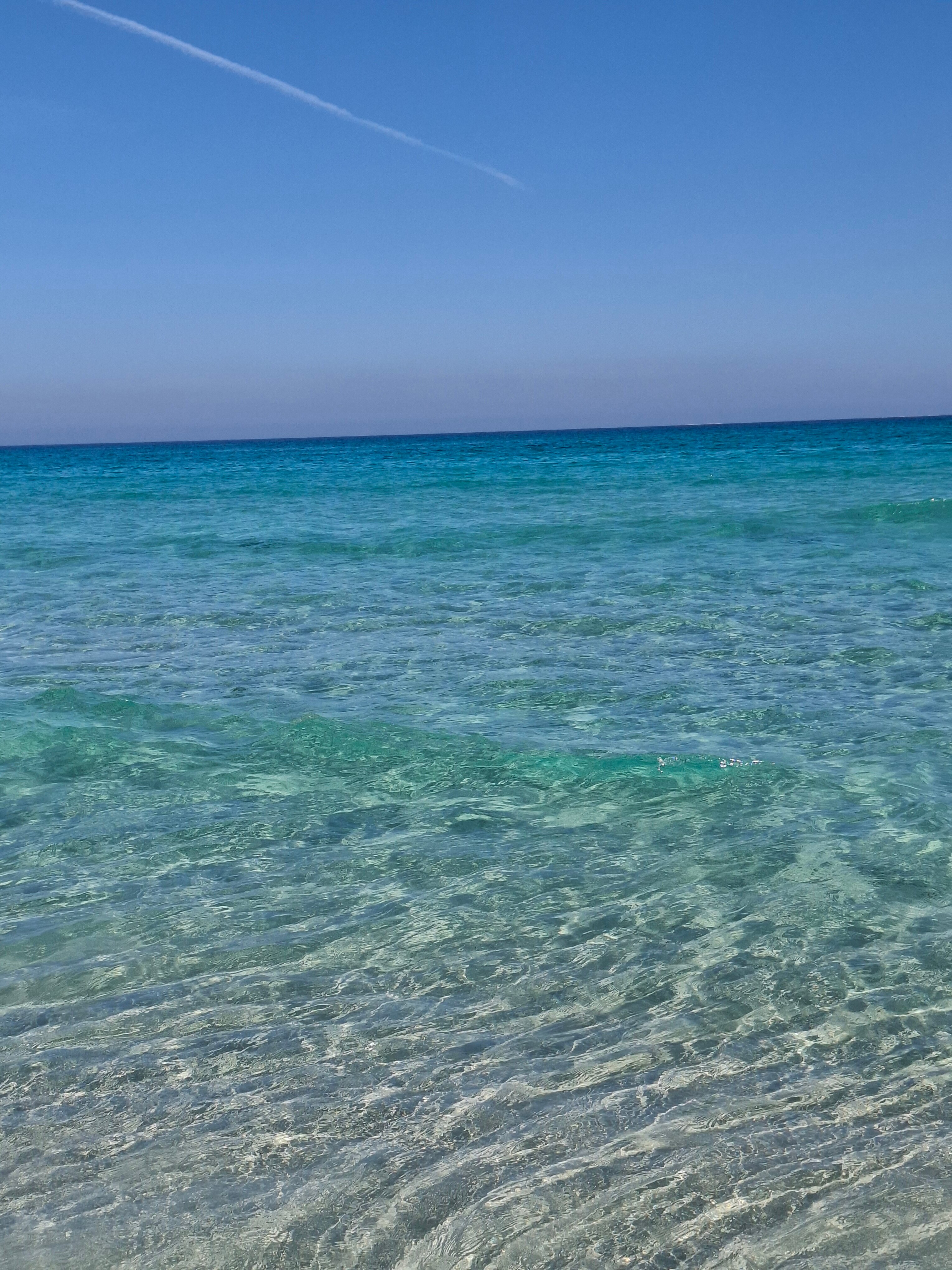 Фото El Mouradi Mahdia