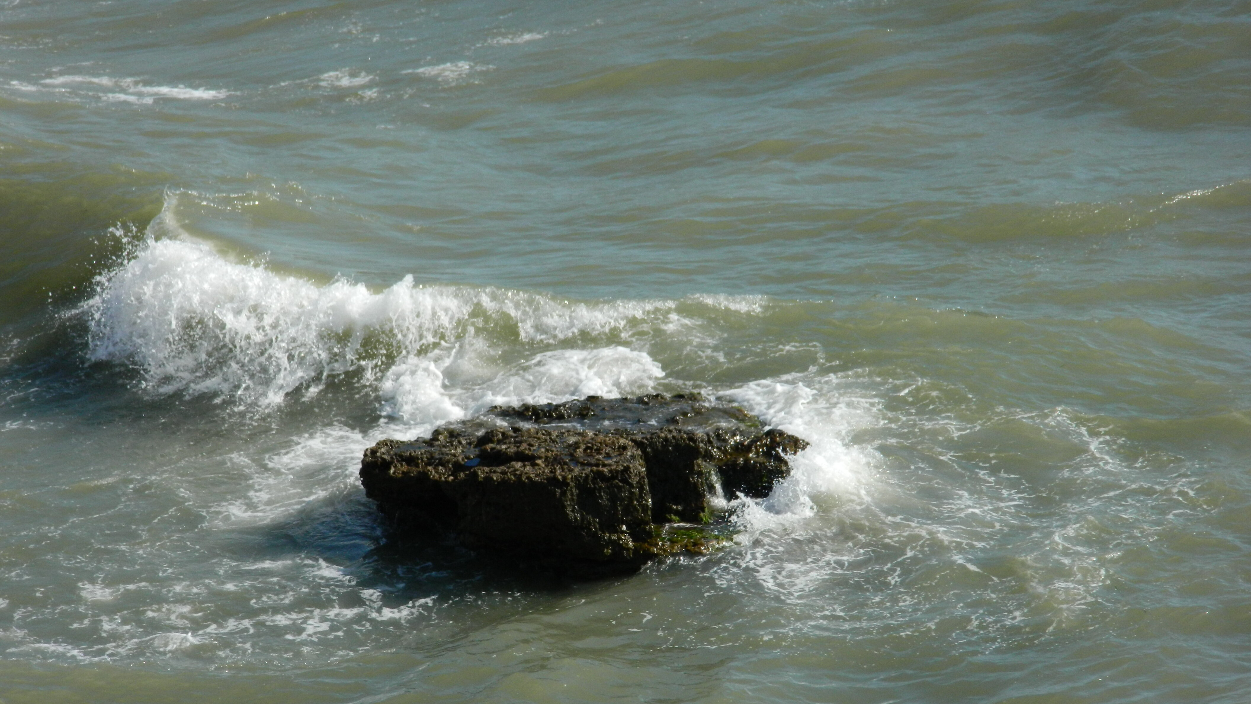 Фото Оазис на Дачном