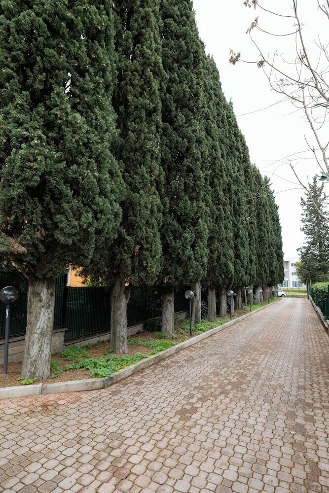 Фото Hotel Scheppers Rome