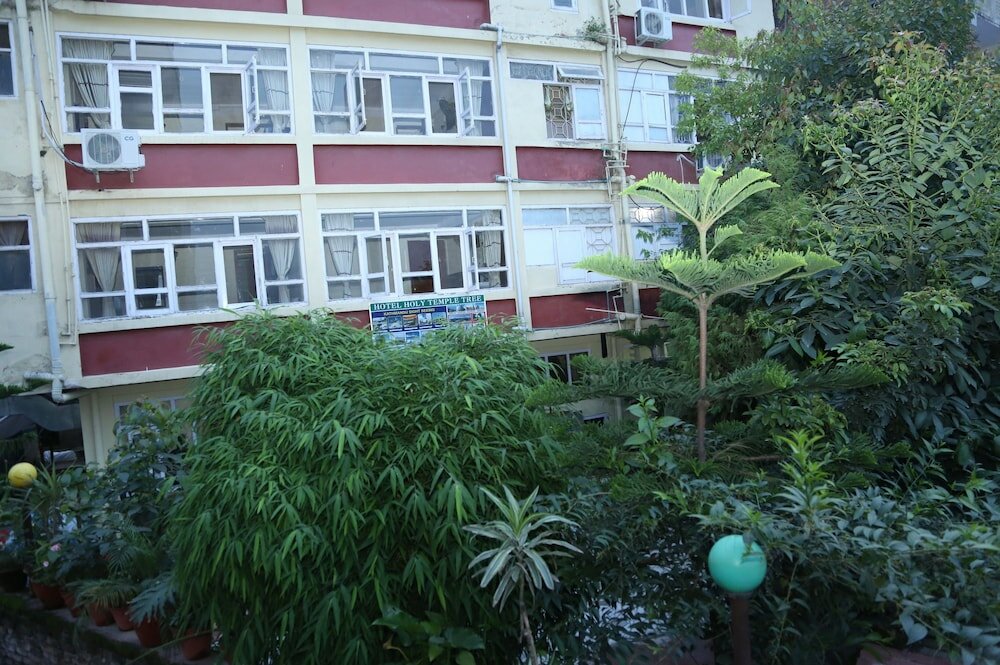 Фото Hotel Holy Temple Tree & Chautari Cafe