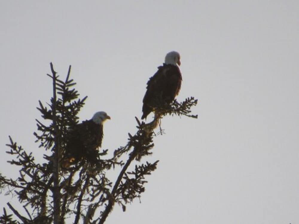 Фото The Waldport Inn