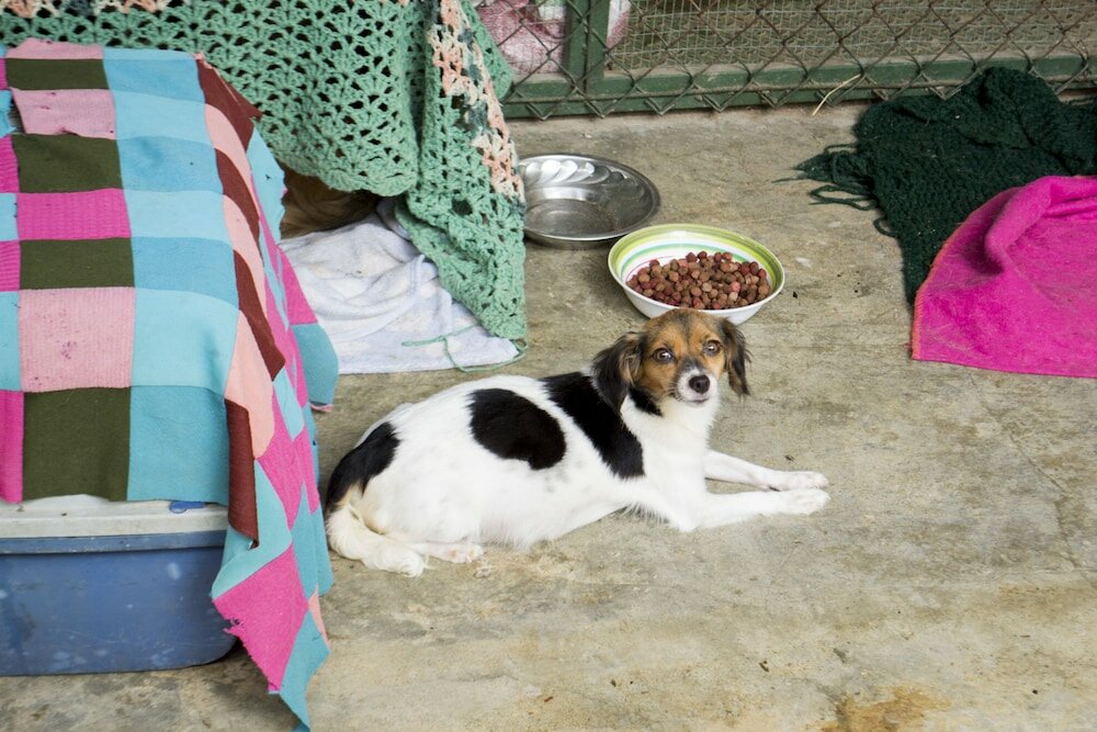 Фото Lands in Love Hotel