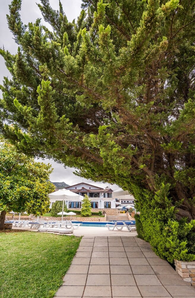 Фото The Olive Tree Hotel