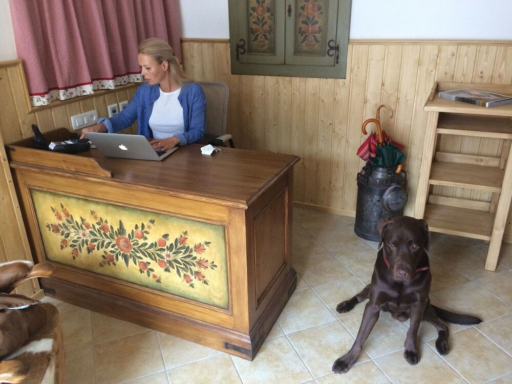 Фото Apartment House Berghi