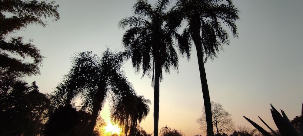 Фото Posada 21 Oranges