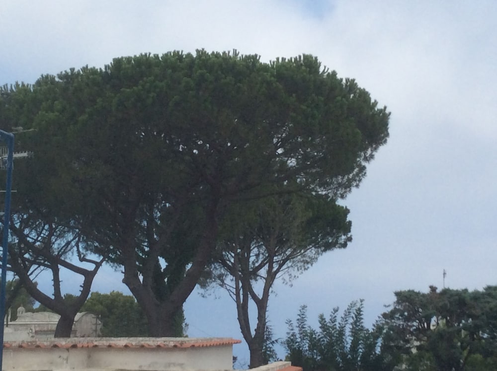 Фото Hotel Victoria Place