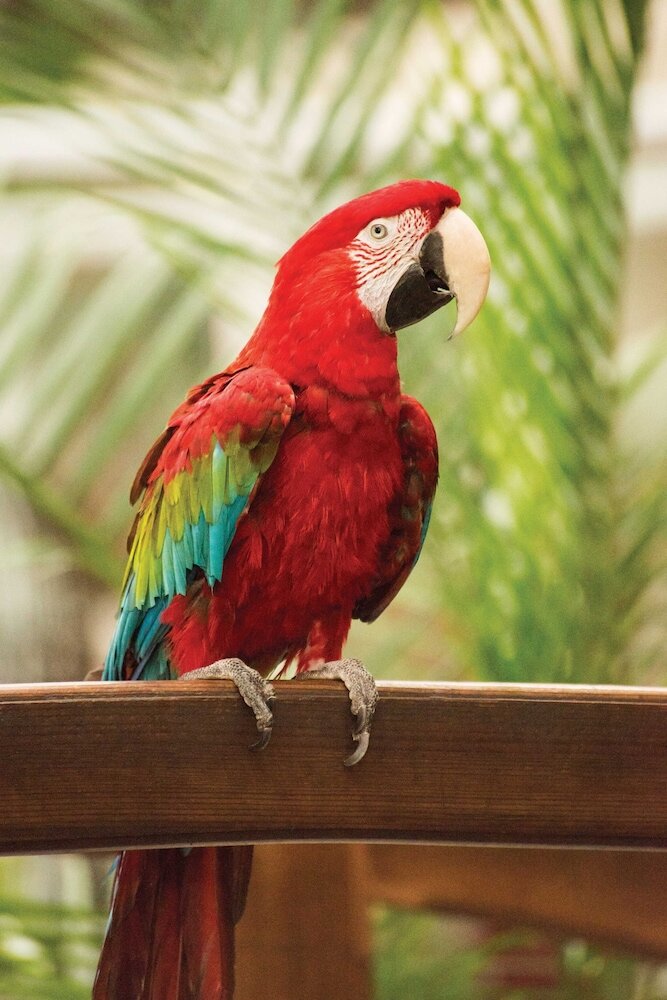 Фото Quality Inn Oceanfront