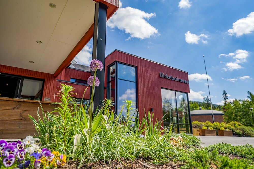 Фото Birkebeineren Hotel & Apartments