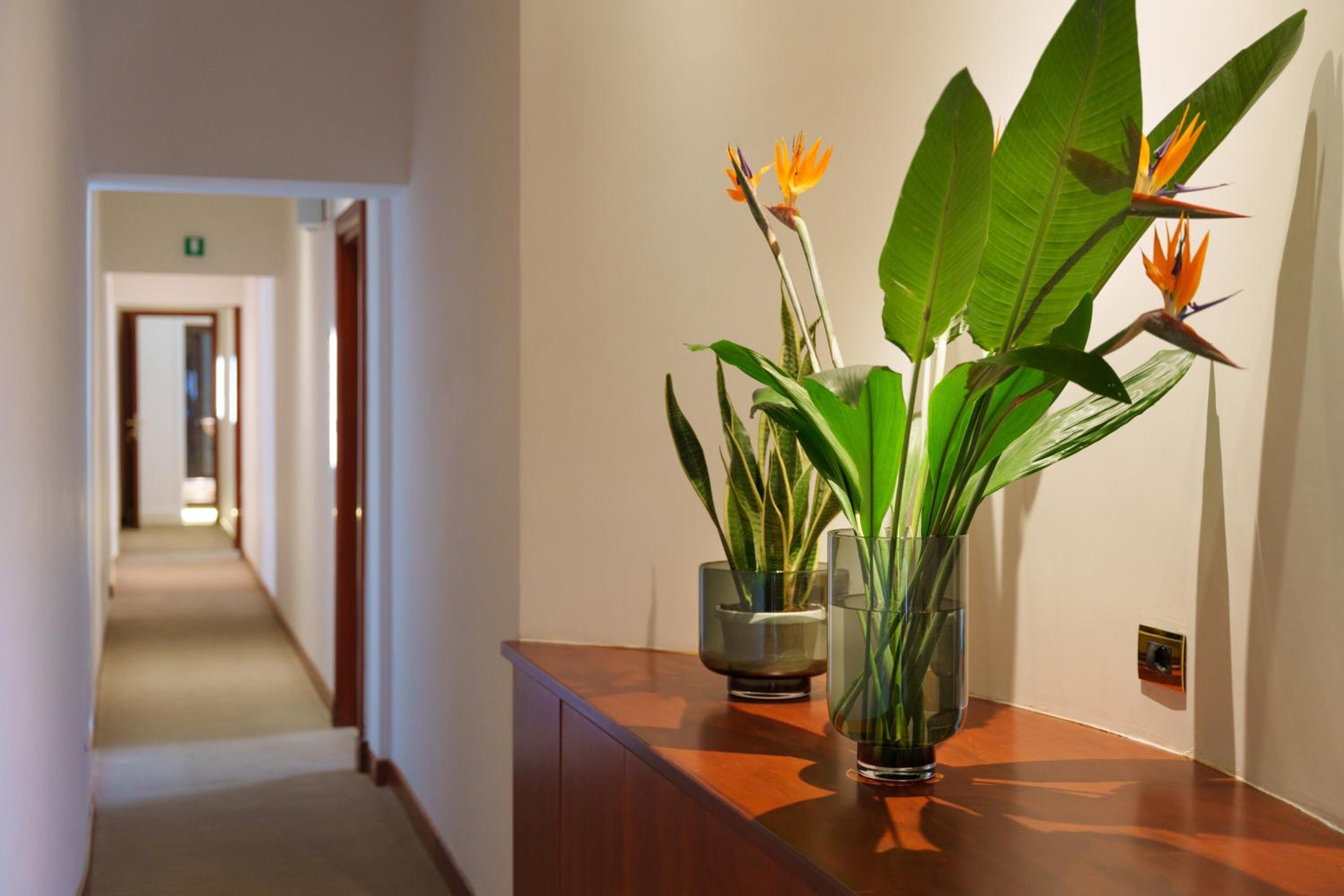 Фото Cola di Rienzo Luxury Penthouse