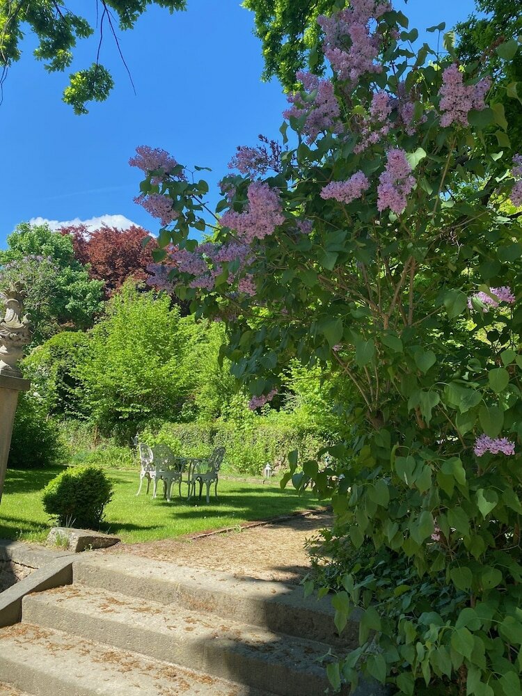 Фото Hotel Villa Sorgenfrei & Restaurant Atelier Sanssouci