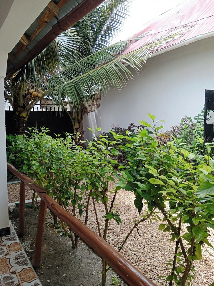 Фото Nungwi House