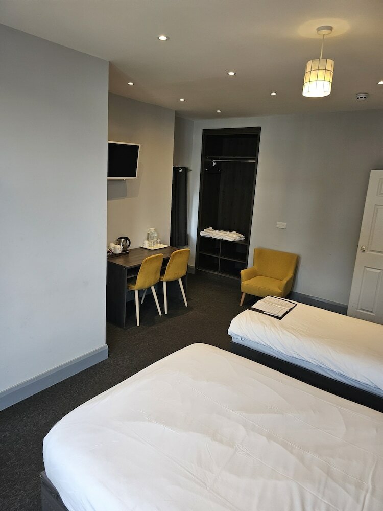 Фото Casuarina Tree