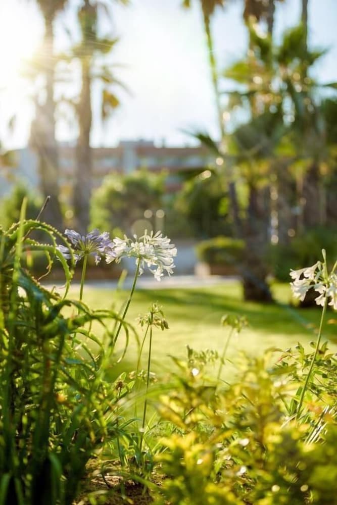 Фото Camping Bellsol