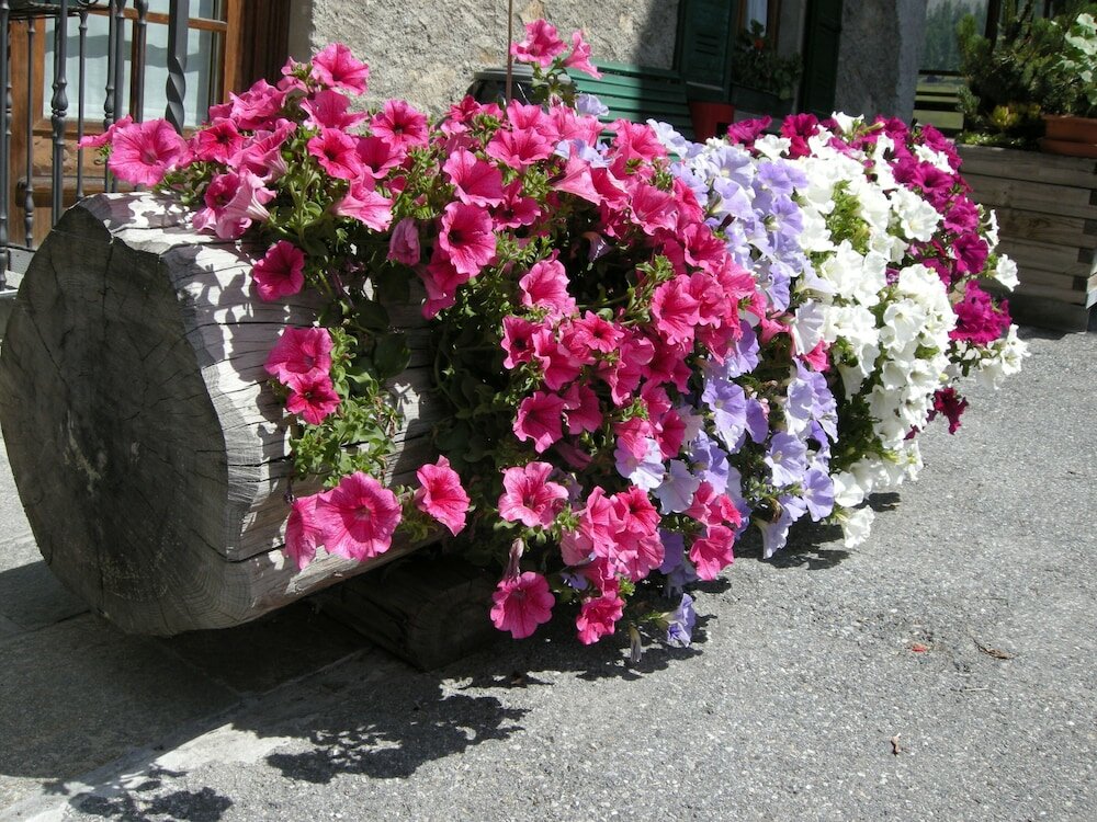 Фото Hotel Ristorante Federia