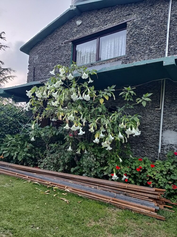 Фото Cedar Lodge by Aahma