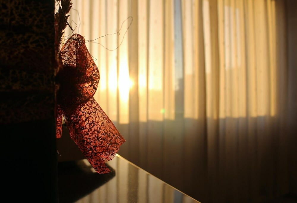 Фото Hotel Meia Lua