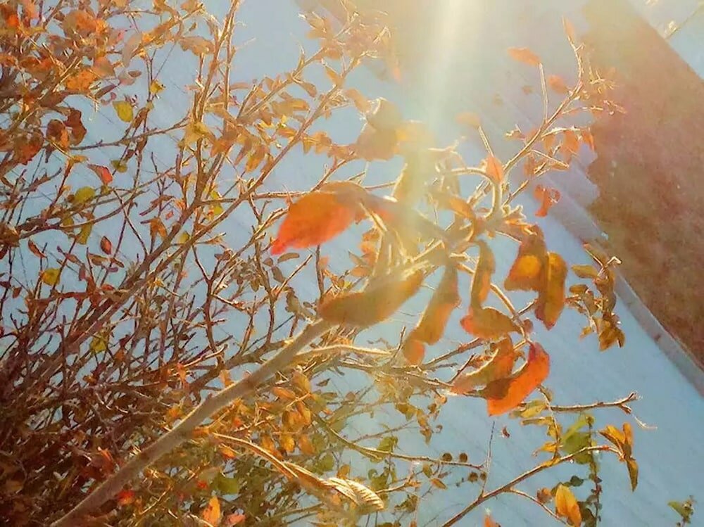 Фото Holiday Inn Express Ordos Dongshen, an Ihg Hotel