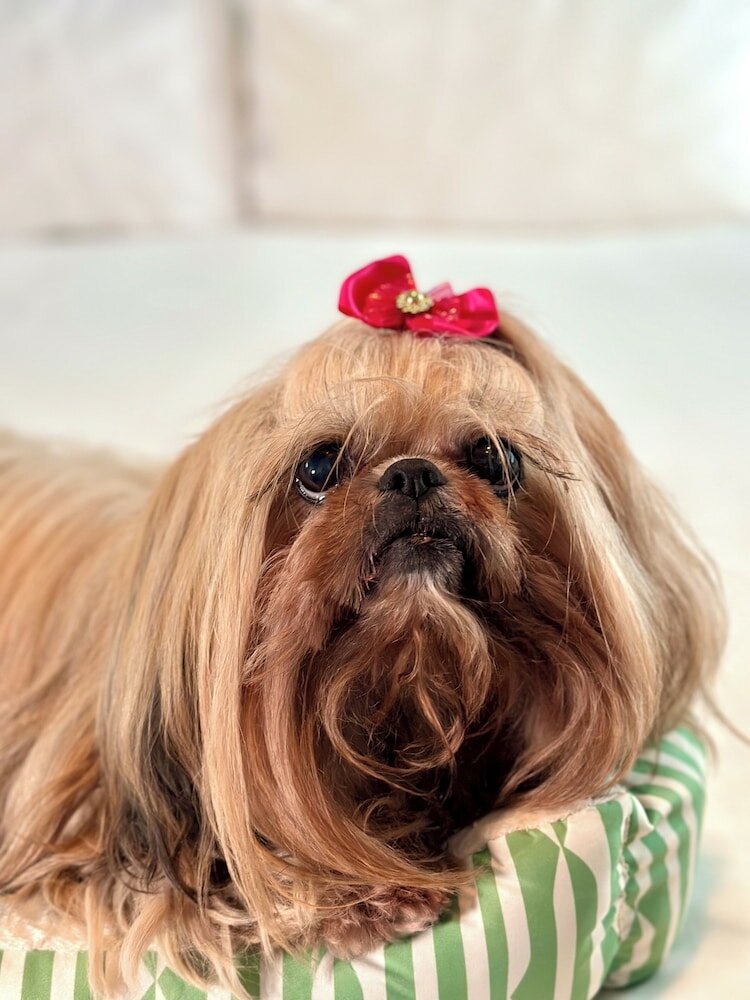 Фото Circa 39 Hotel Miami Beach