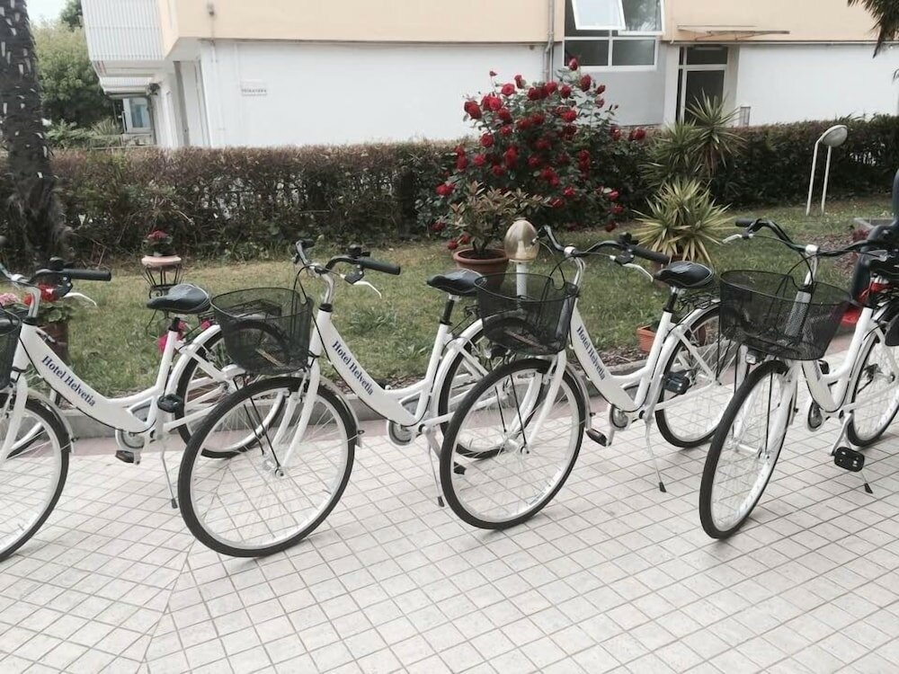 Фото Hotel Helvetia