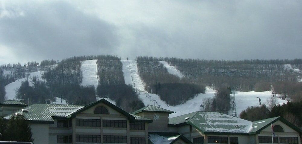 Фото Hotel Vienna