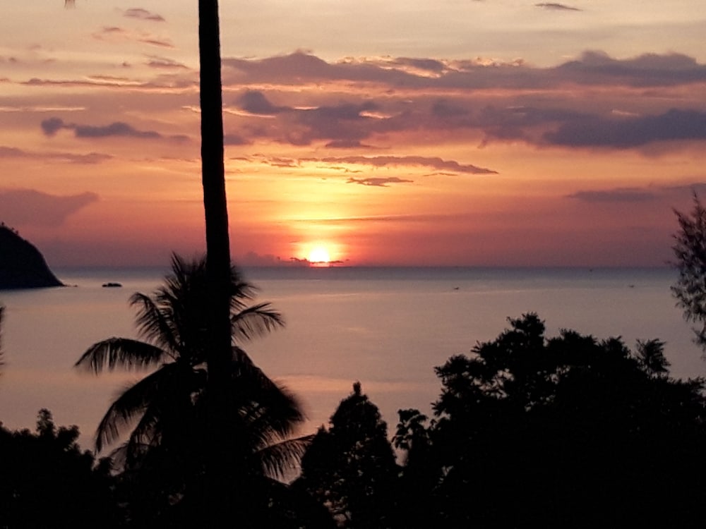 Фото Padel Phangan Suite