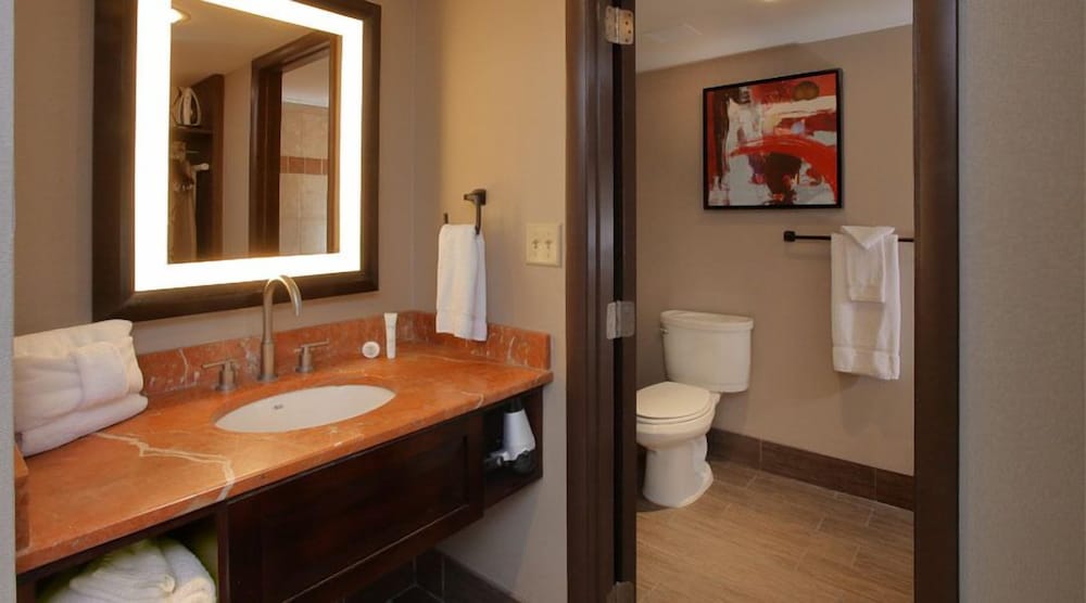 Фото Blue Chip Casino Hotel and SPA