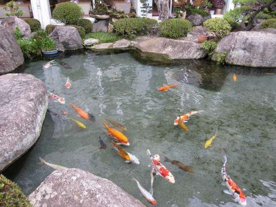 Фото Isawa Onsenkyo Ryokan Kisen