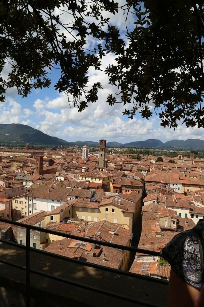 Фото Perle d'Ambra