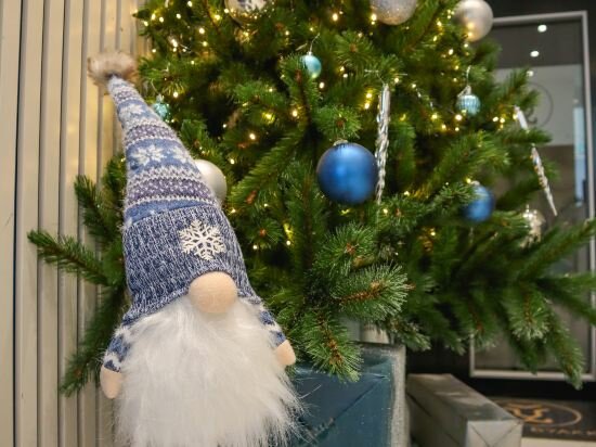 Фото Hotel Byakko