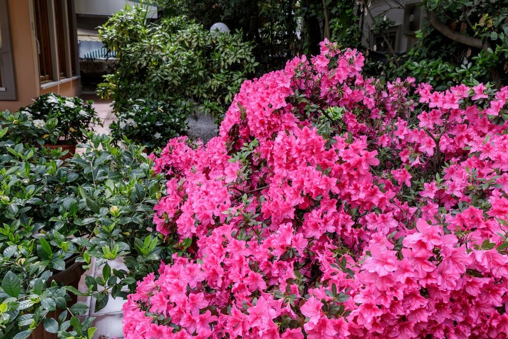 Фото Hotel Astor Victoria