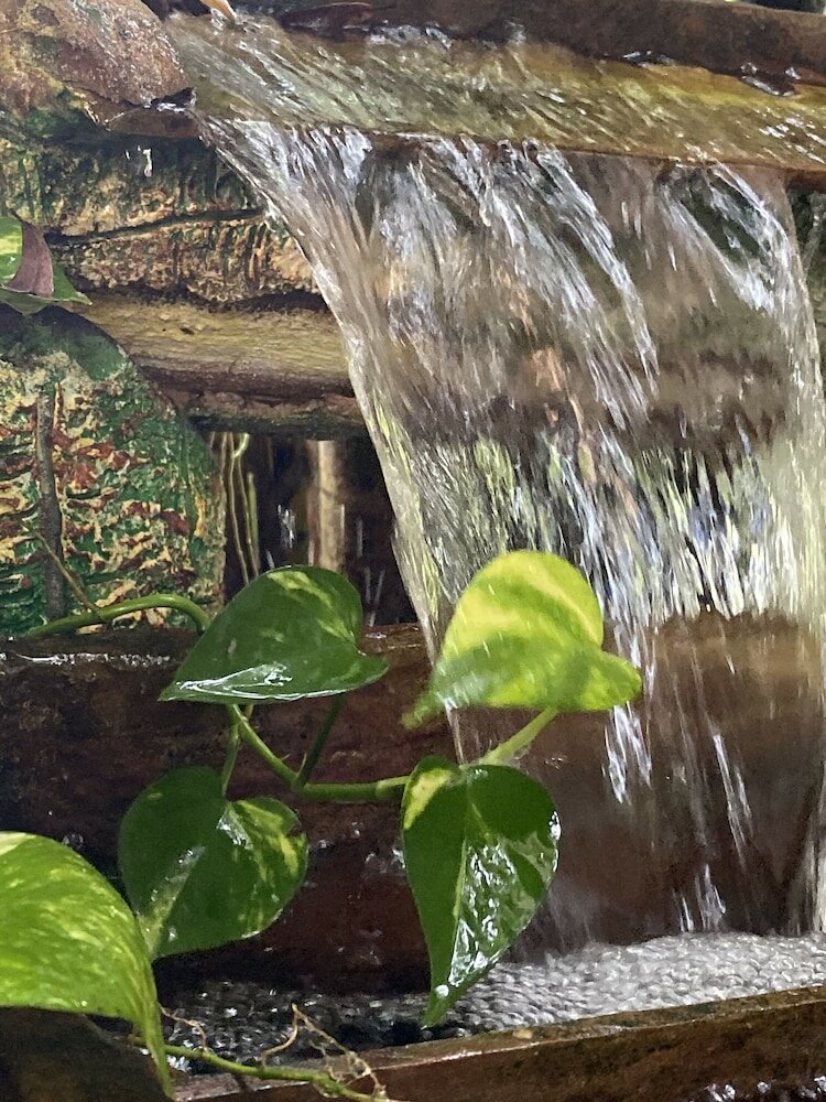 Фото Khaolak Grand City