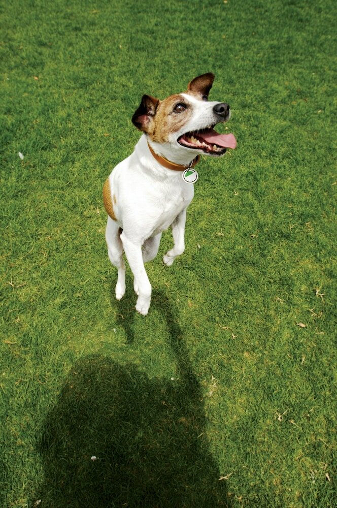 Фото Element Bozeman