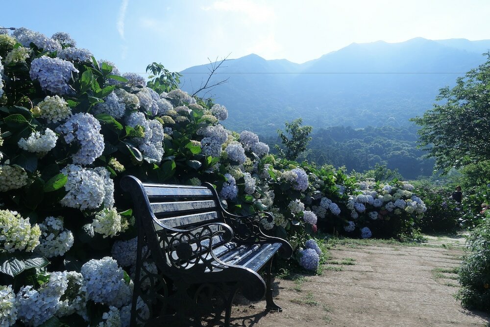 Фото Aloft Taipei Beitou
