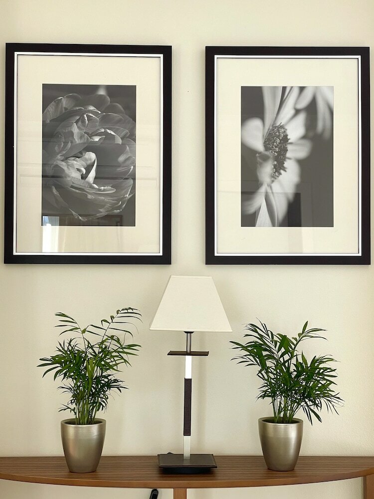 Фото Parkhotel Sonnenhof