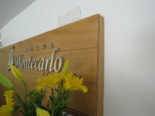 Гостиница Hotel Montecarlo в Сантьяго