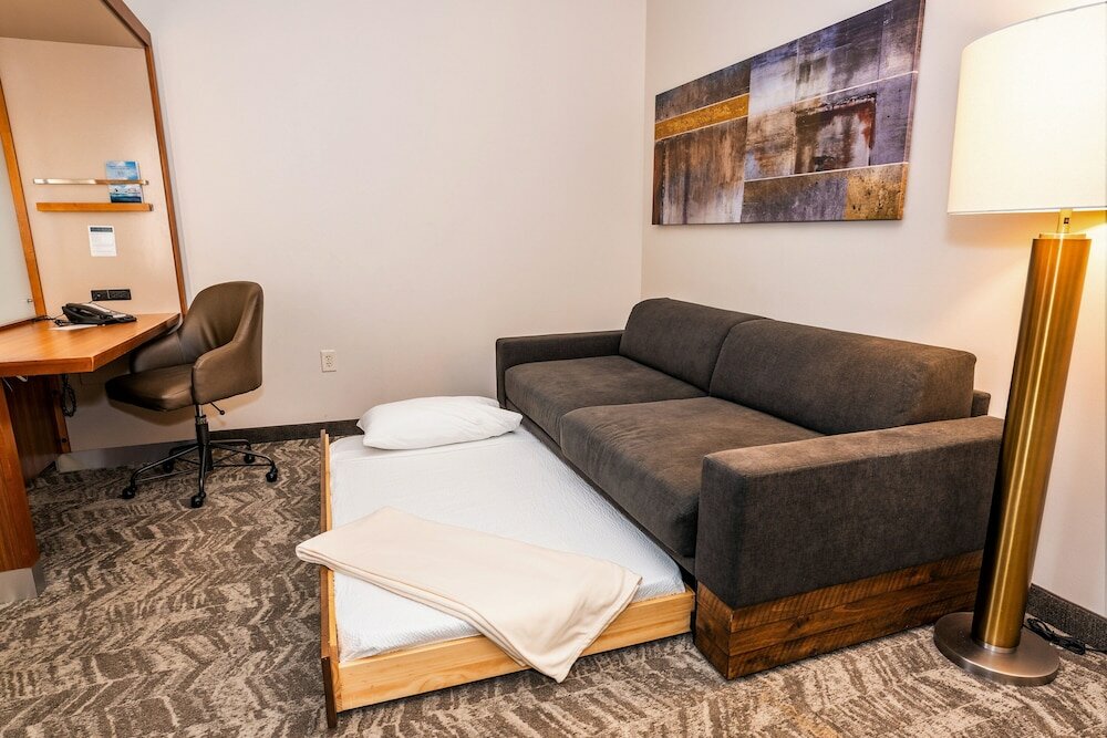 Фото SpringHill Suites by Marriott San Antonio Alamo Plaza/Convention Center