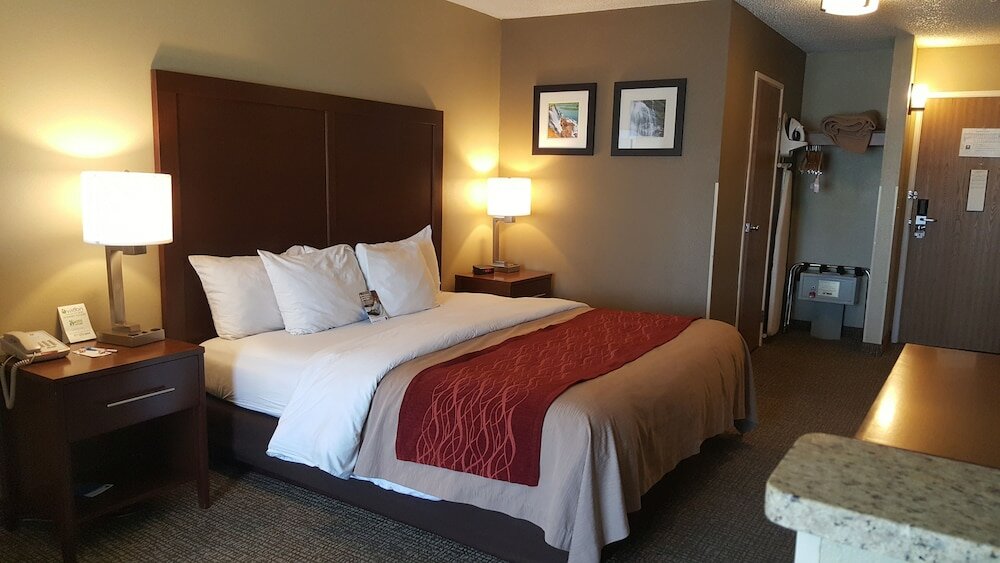 Фото Comfort Inn Idaho Falls