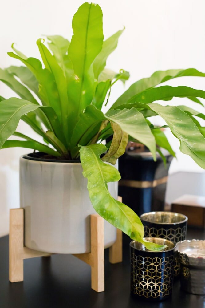 Фото Maison Montagne